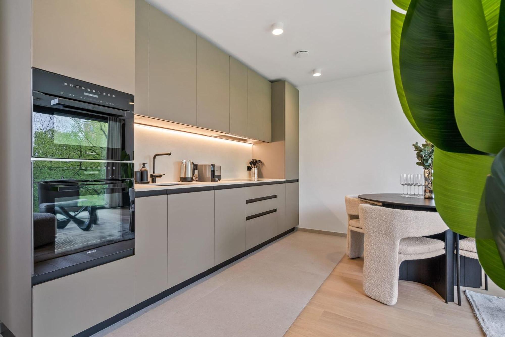 Luxury Downtown With Modern Amenities Apartment